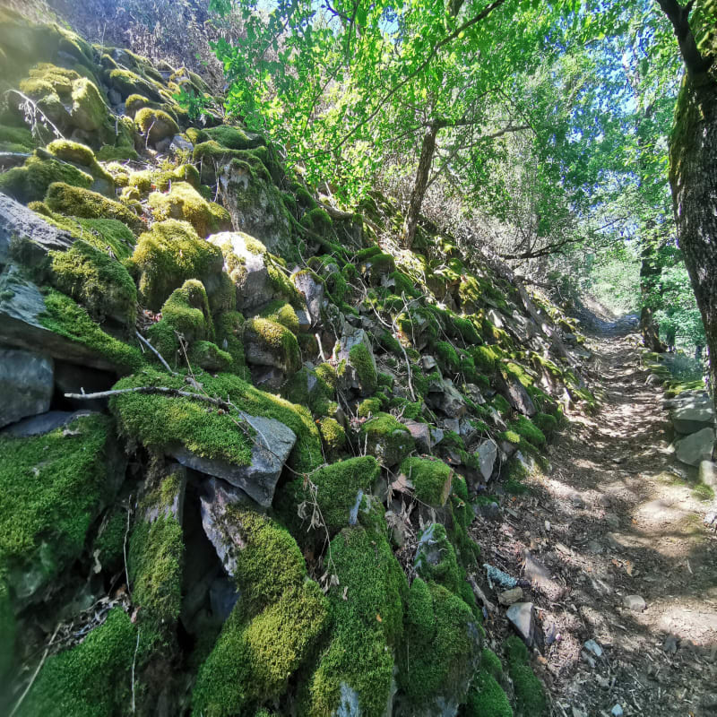 Descente de Martres à la Goul - Murols