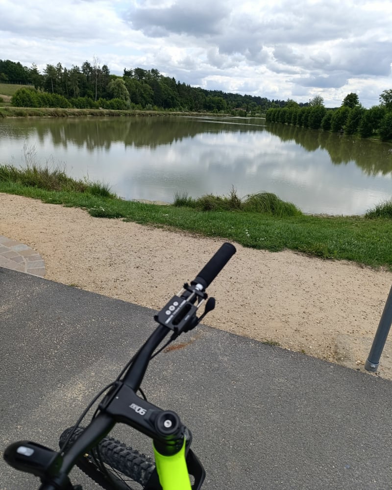 Une balade à vélo autour de Pressigny-les-Pins - Pressigny-les-Pins