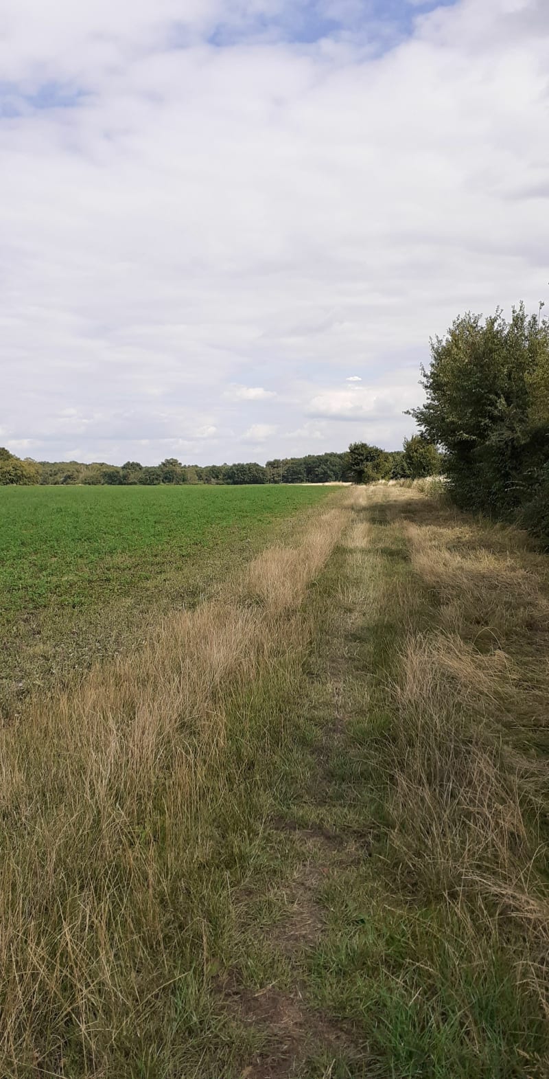 Entre bois et champs depuis Leigné-les-Bois - Leigné-les-Bois