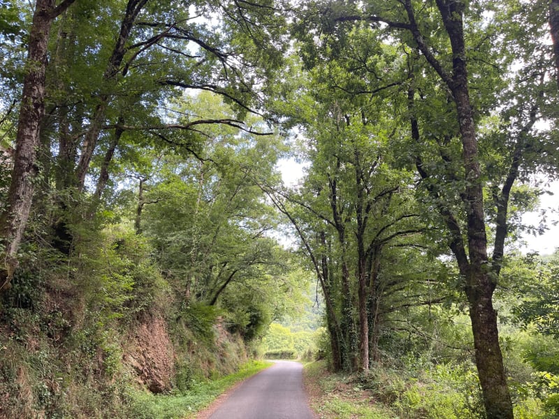 Chemin des Frères en Aveyron à Sauveterre - Sauveterre-de-Rouergue
