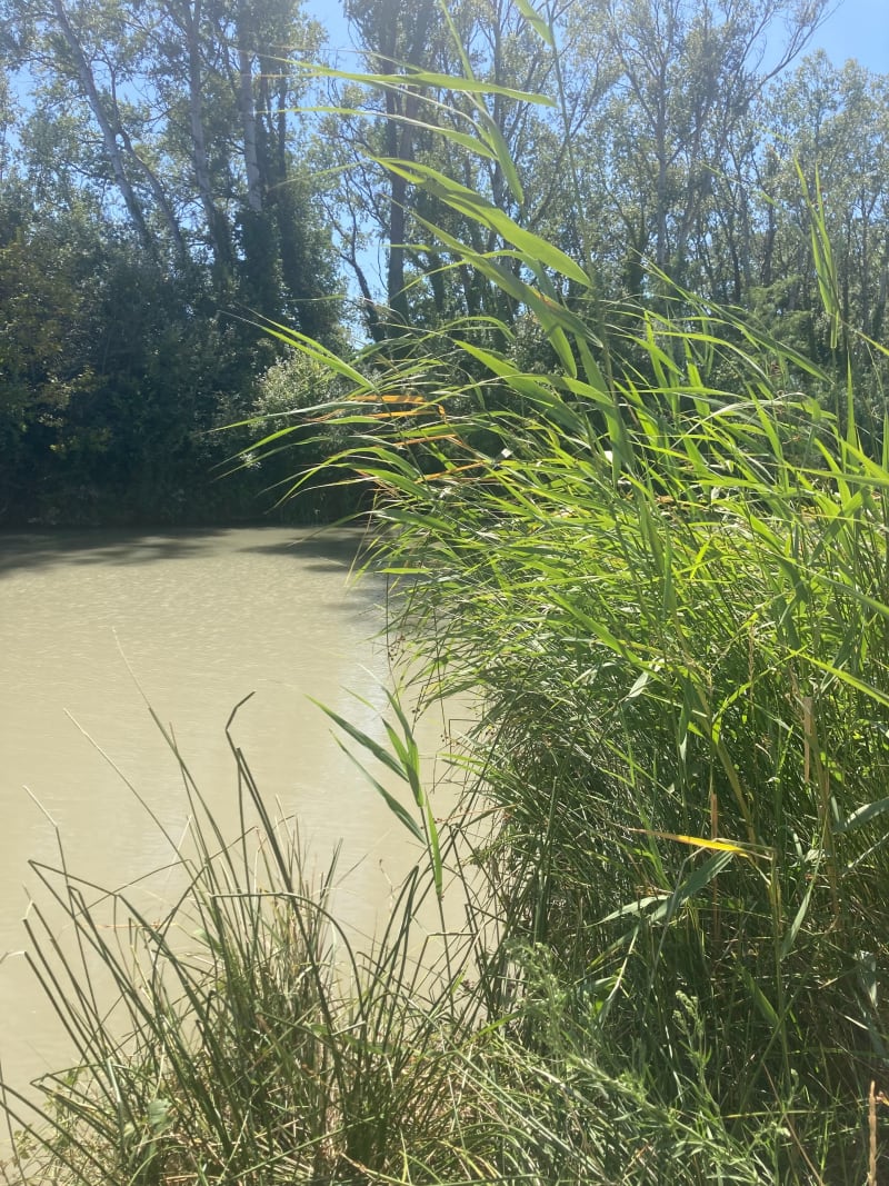 Des Écluses à Colombiers, le long du Canal du Midi - Béziers