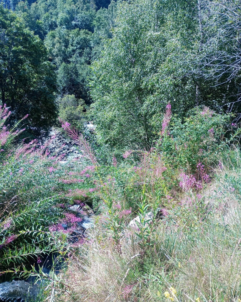Moulin du Burdin et le Bettex - Les Belleville