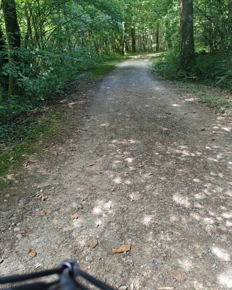 Les parcs du nord de Limoges et Bois de la Bastide - Limoges
