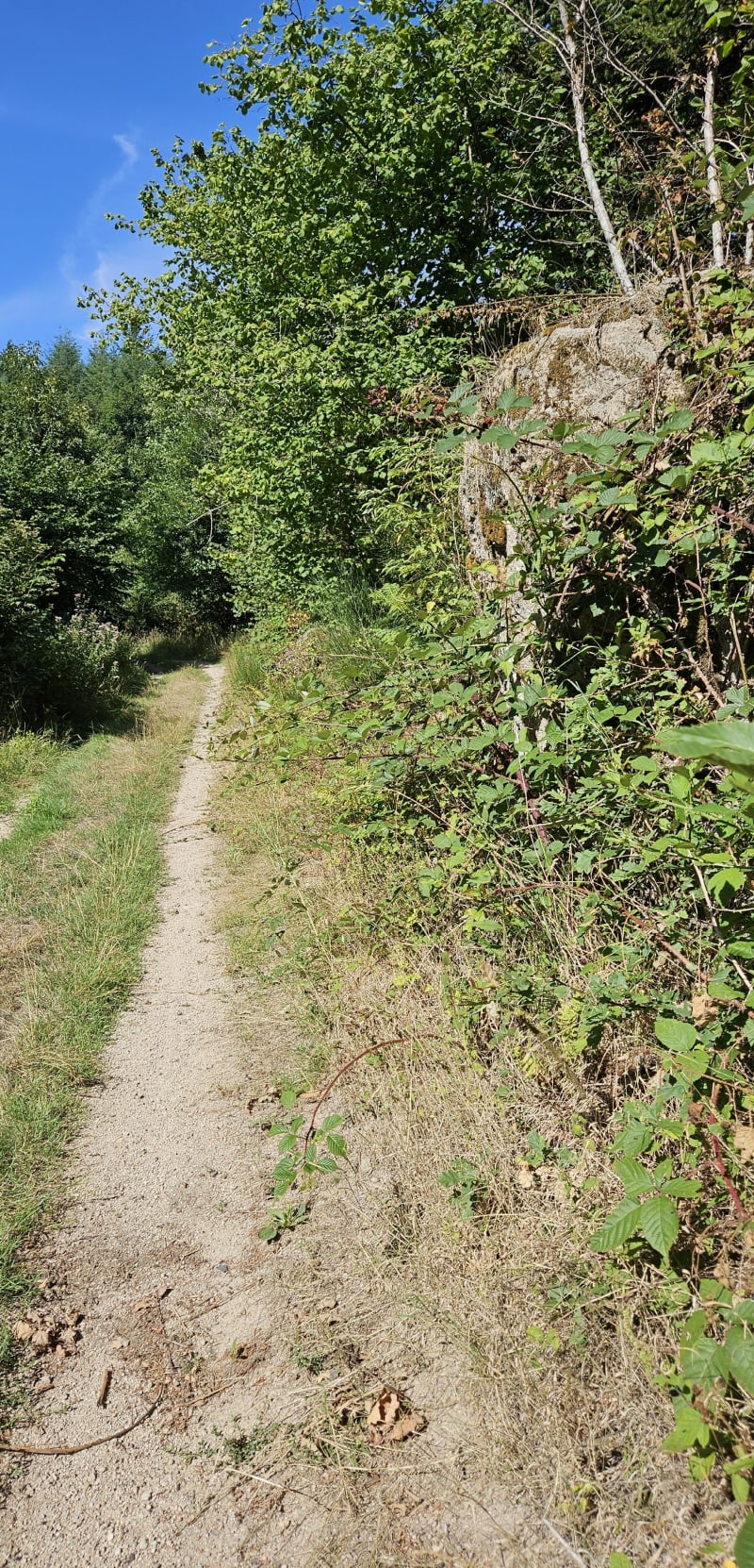 Balade près de la croix du sud autour du col de la charmette - Saint-Rirand
