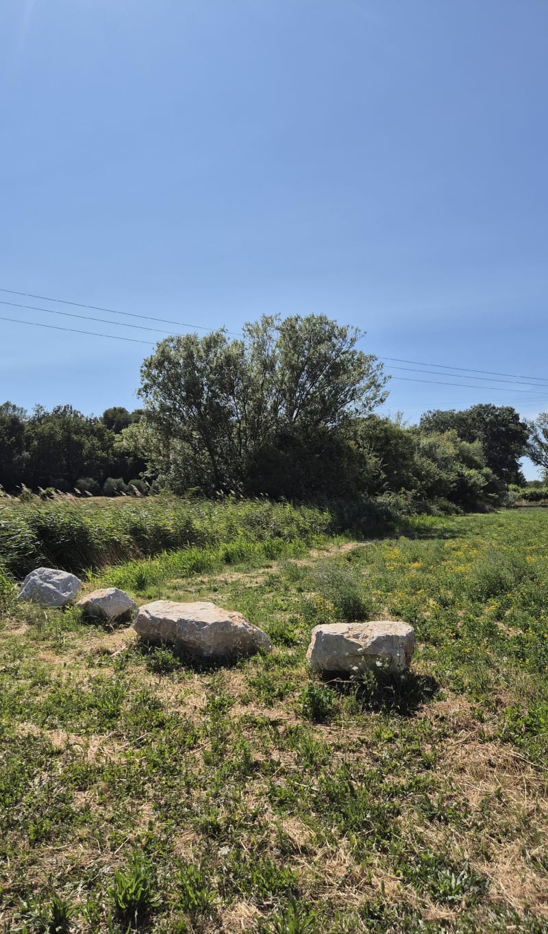 Boucle 7km du Gymnase,  Plaines, Mas de Fauchon - Saint-Cannat