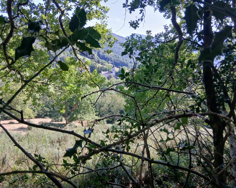 Petite boucle du Mont Pelat en piémont - Bizous
