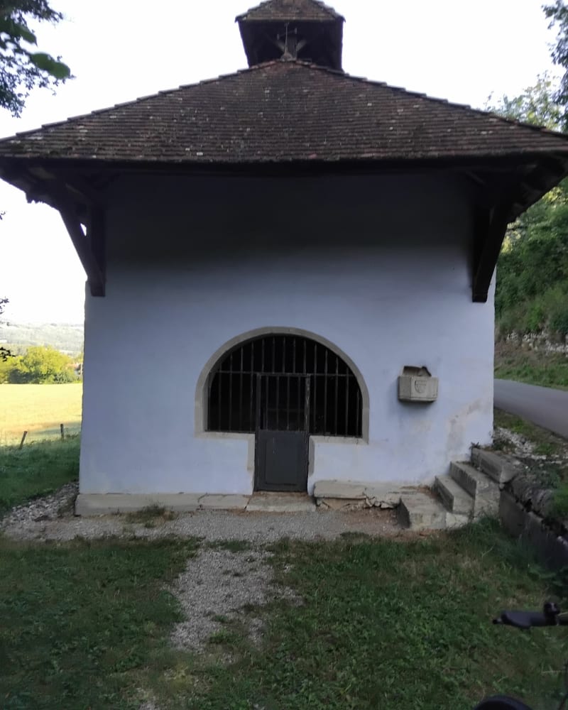 Balade par les Marais des Lagneux - Massignieu-de-Rives