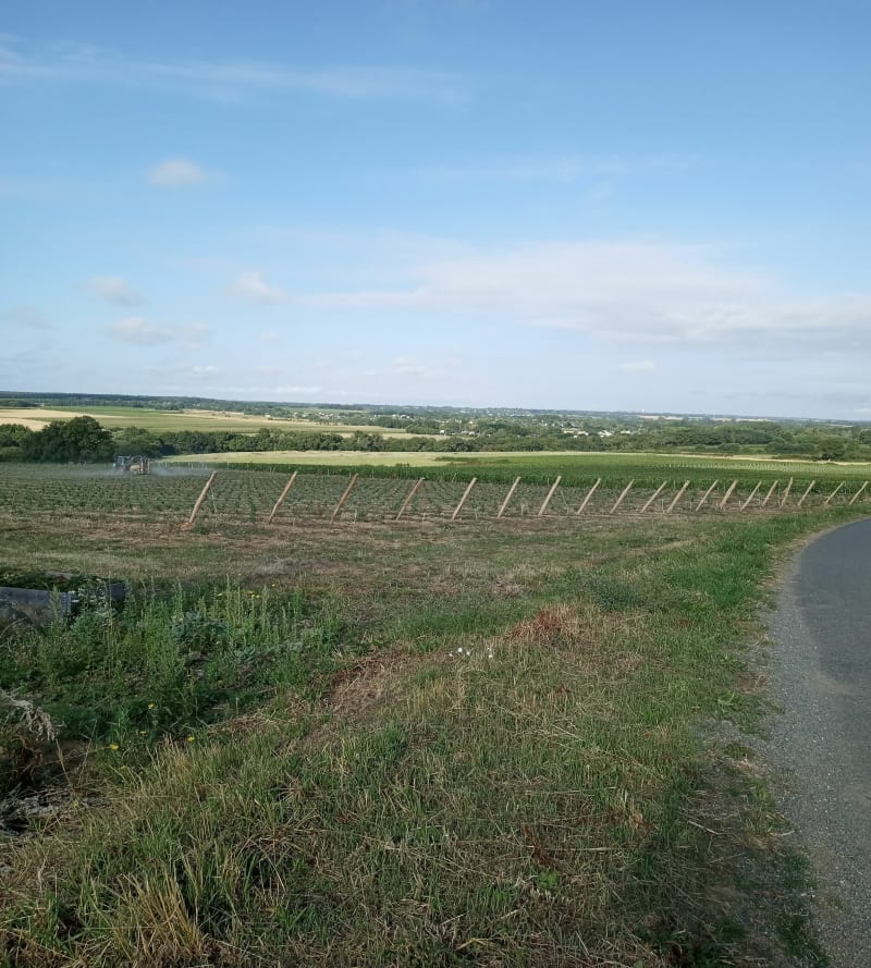 De l'Aubance au Layon, par Soulaines - Brissac Loire Aubance