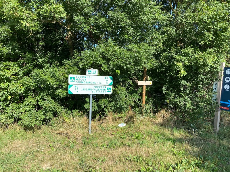 Le long de la Saône - Saint-Julien-sur-Veyle