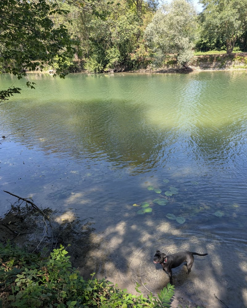 Entre Charente et Charenton - Merpins