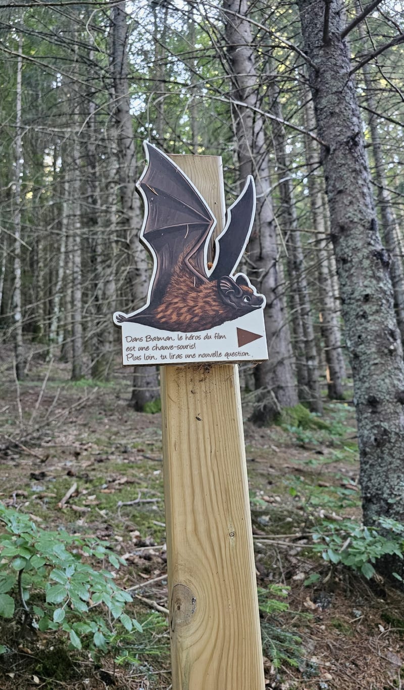 Boucle de la Noctula - Coucouron