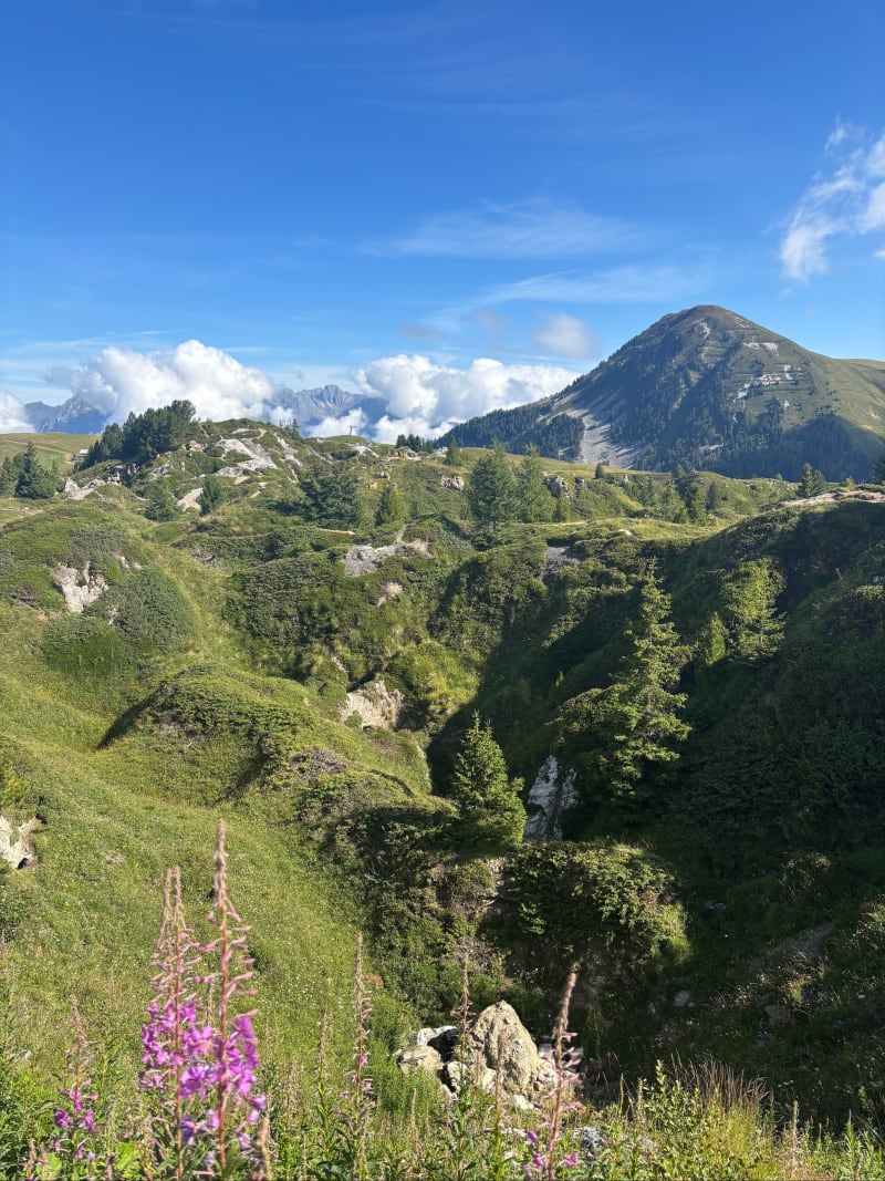 Boucle du D’où du Praz - La Plagne Tarentaise
