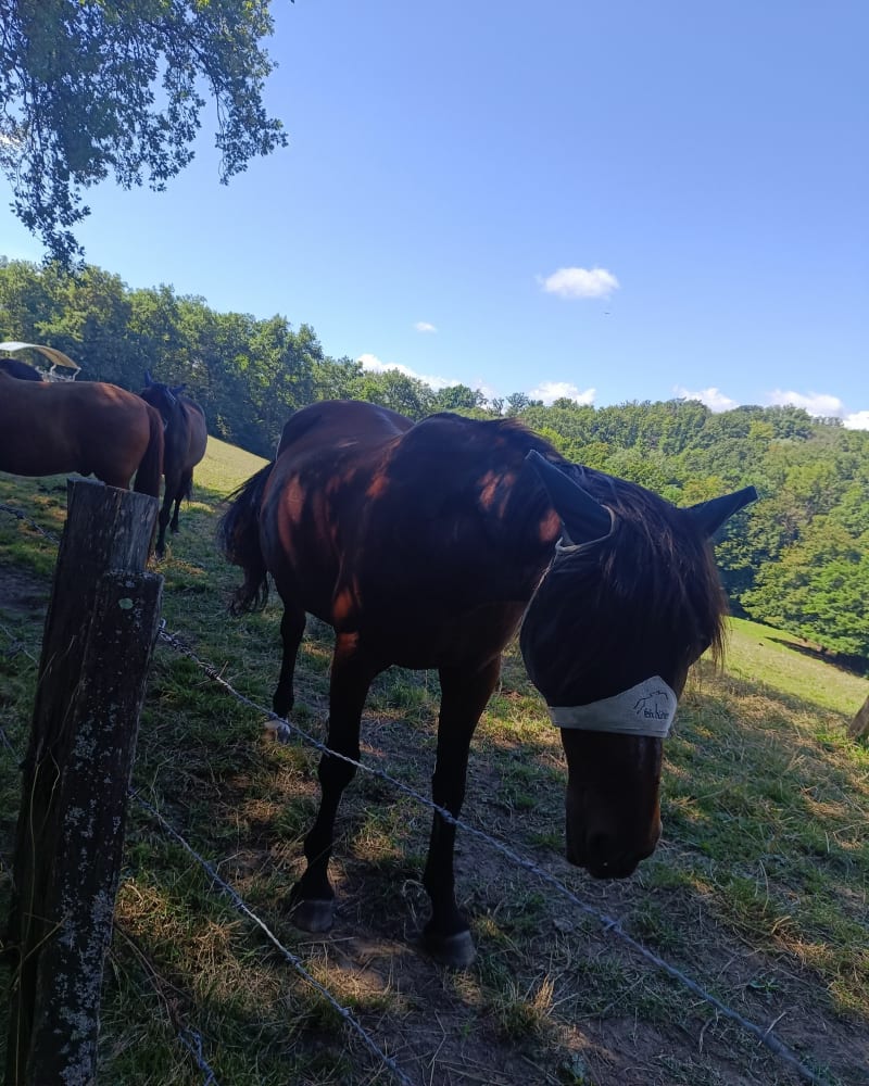 Un petit tour à Dommartin - Dommartin