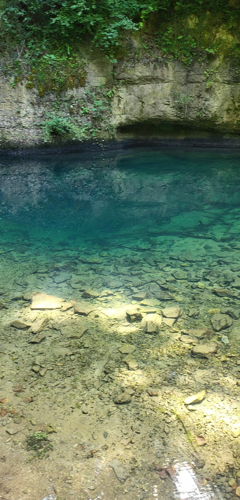 Sources bleue et verte - Cusance