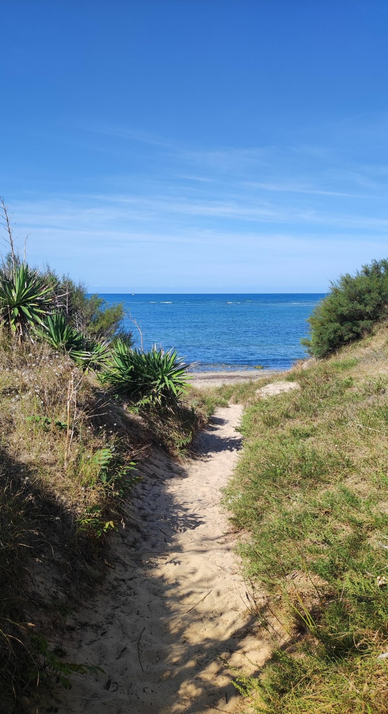 Entre vignes et plages depuis les marais de l'île d'Oléron - Saint-Georges-d'Oléron