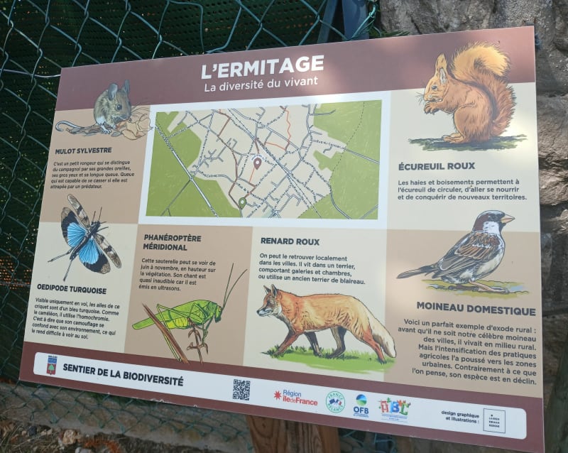 Le sentier de la Biodiversité autour de Bois-le-Roi - Bois-le-Roi