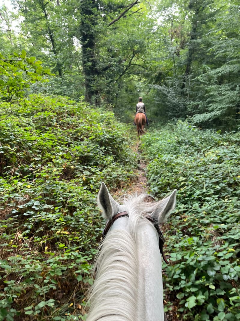 Rando à cheval dans Moladier - Besson