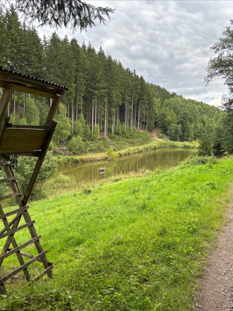 Balade à Petit-Rederching - Petit-Réderching