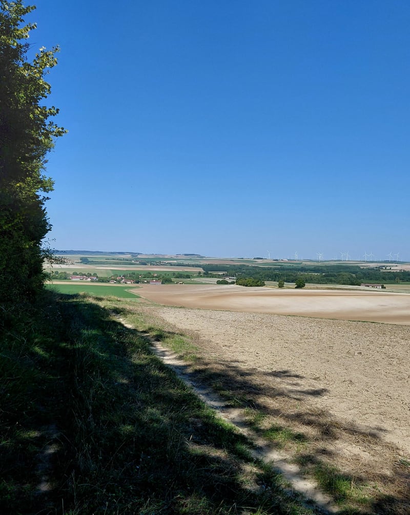 La Saulsotte et les minières - La Saulsotte