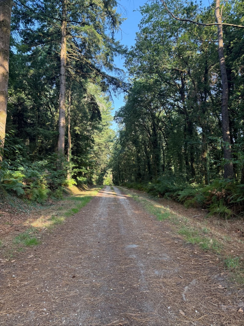 Balade entre routes et chemins à Kervignac - Kervignac