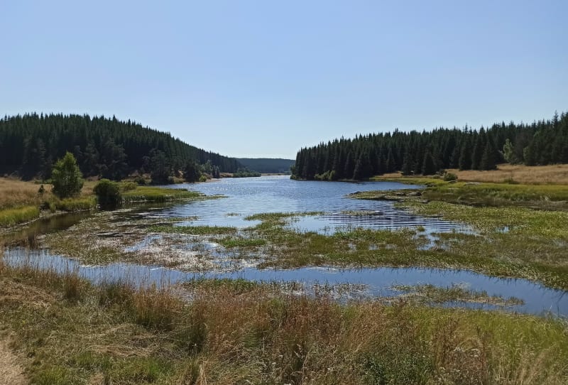 Lac de Charpal et boucle jusqu'au village de Vitrolettes - Monts-de-Randon