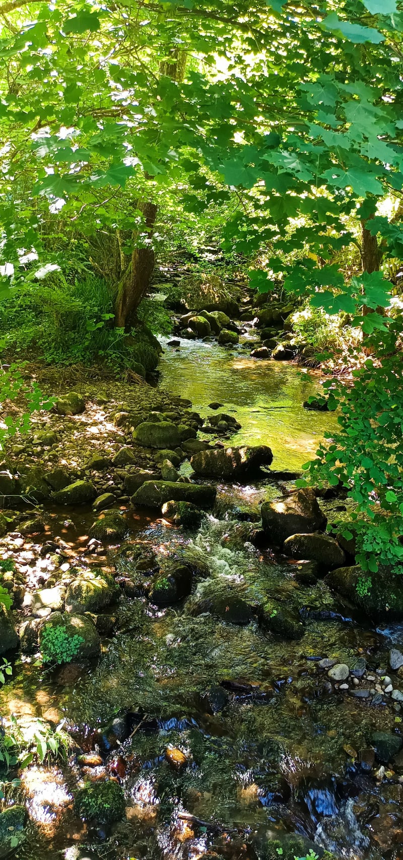 Balade depuis le camping de Voissières - Chambon-sur-Lac