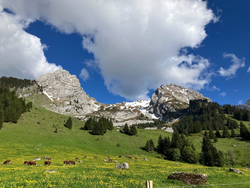 Pour le plaisir  à Montcenis - Montcenis