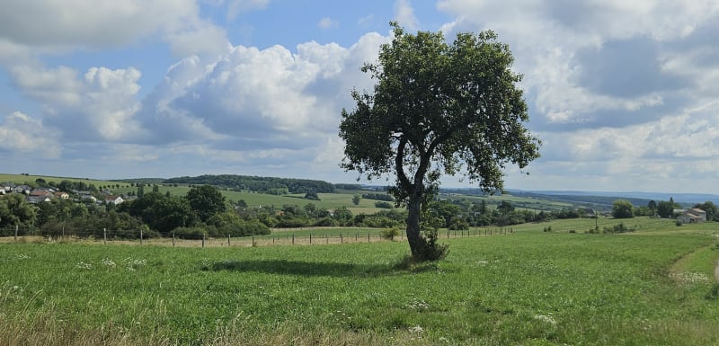 Spicheren/Sarrebruck - Spicheren