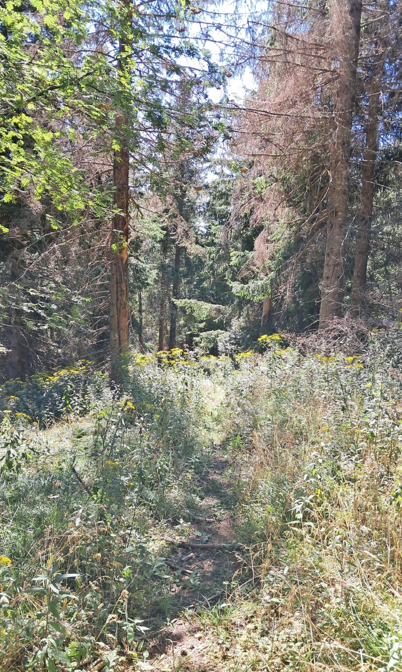 Mont Devès - Cayres