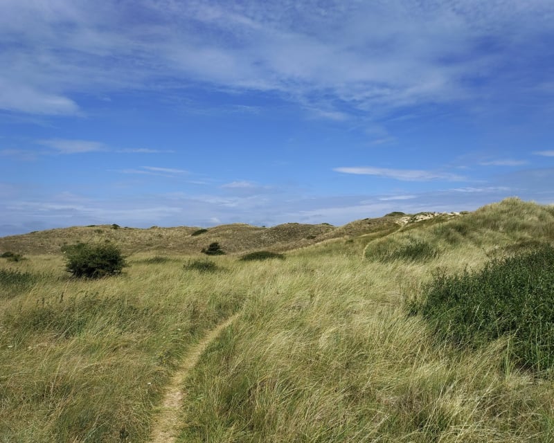 Promenade à la pointe du Banc - Saint-Germain-sur-Ay