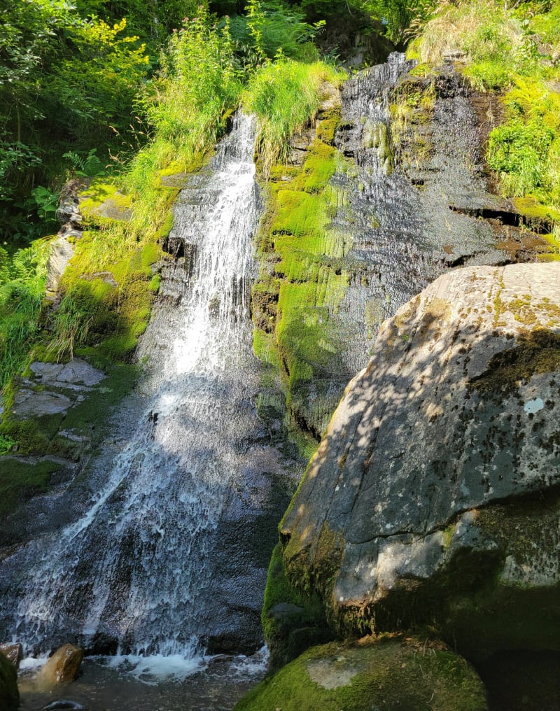 Les cascades de la Peyregade - Montferrier