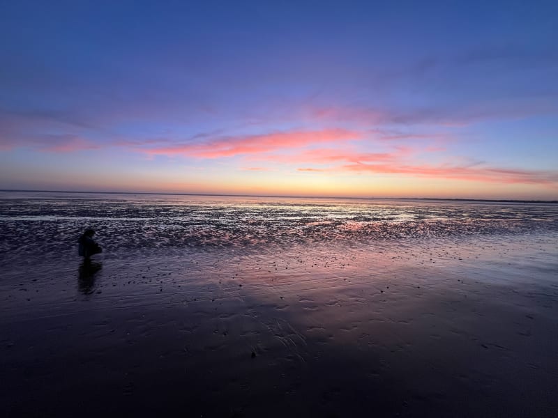 Chatel, marais d'Yves et les Boucholeurs - Châtelaillon-Plage