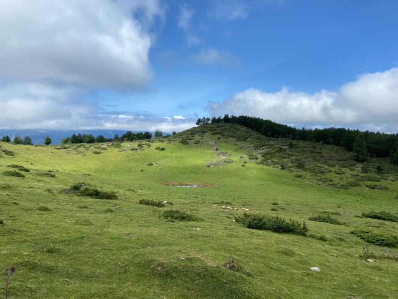 Cabane de Bouy - Eaux-Bonnes