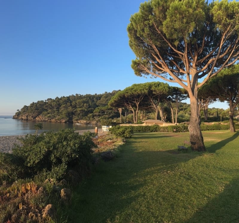 Pramousquier-St Tropez - Le Lavandou