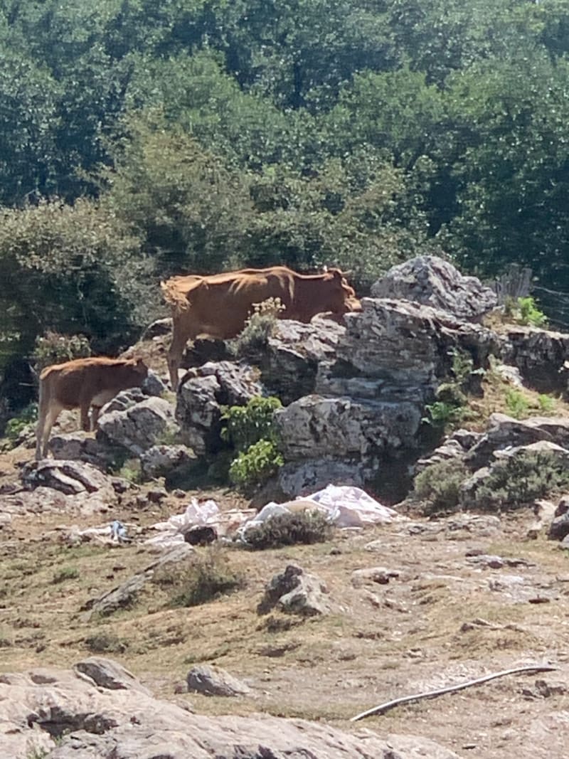 Randonnée de San Bertolomeo - Parata