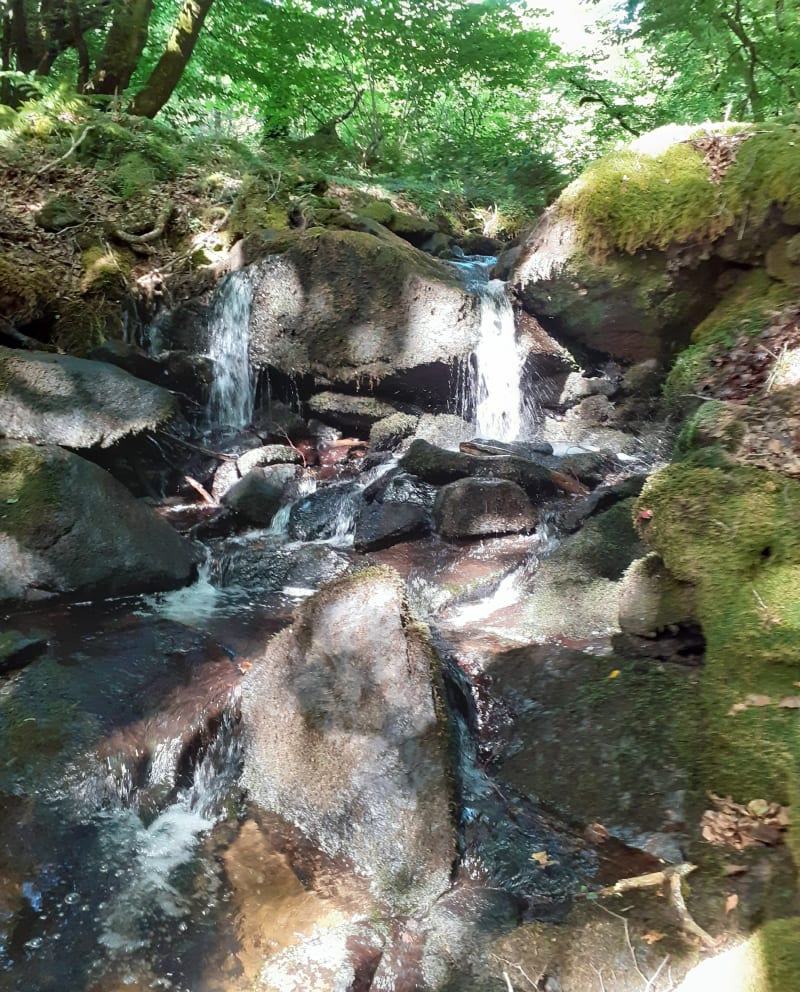 Le ruisseau Galingard et ses cascades - Lestards