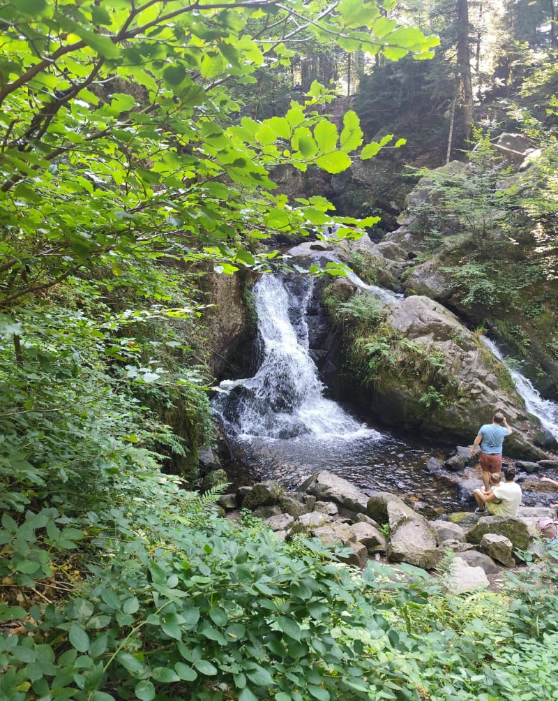 Grand tour des cascade de Tendon et Bois de la Brostille - Tendon