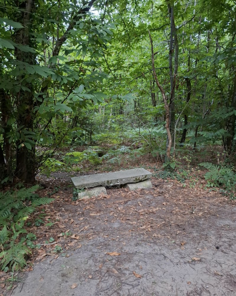 Brion - Fontaine-Guérin - Brion - Les Bois d'Anjou