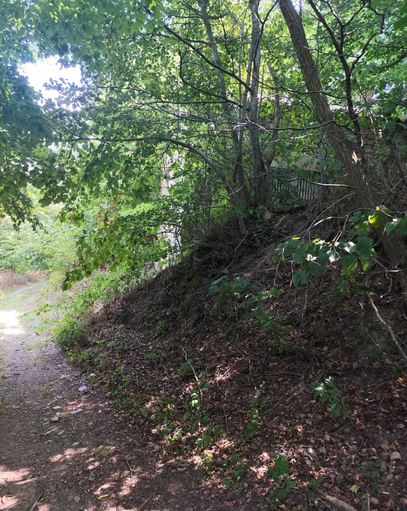 De Blesle à la ferme du Bos - Blesle