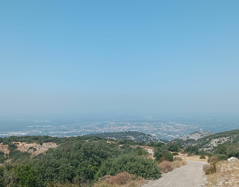 Balade de la Forêt des Cèdres à Bonnieux - Bonnieux