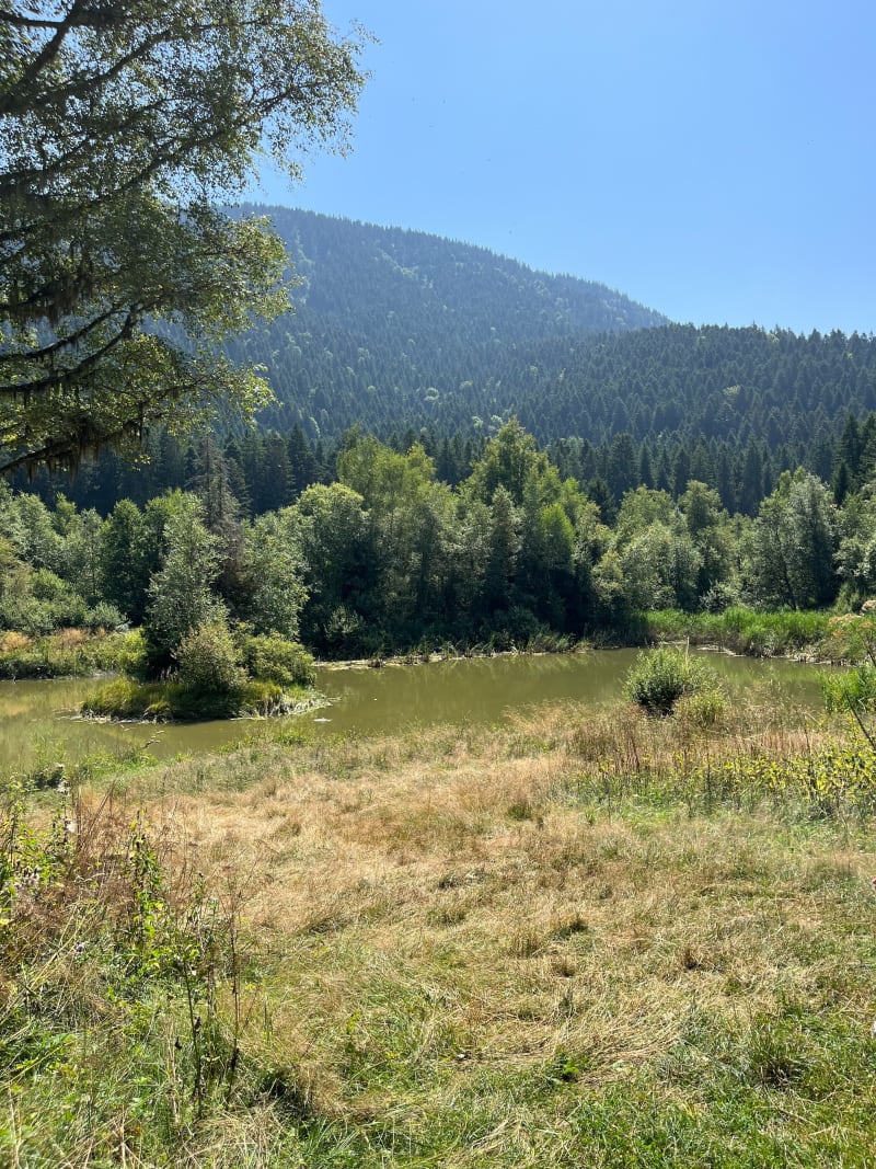 Boucle Marais des Seiglières - Saint-Martin-d'Uriage