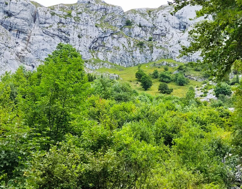 Découverte de La Tournette - Talloires-Montmin