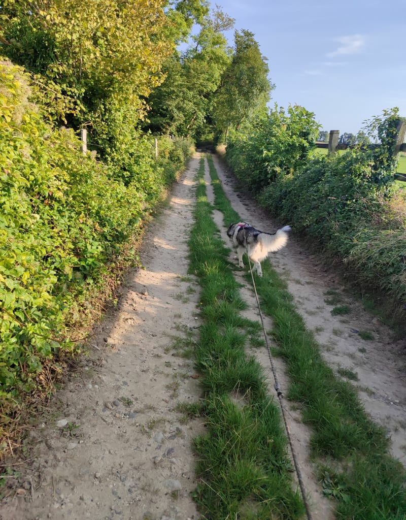 Balade autour de Saint-Erme - Saint-Erme-Outre-et-Ramecourt