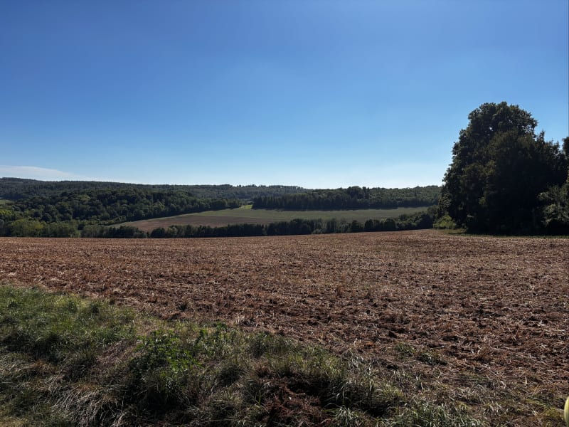 Randonnée Montauville et Bois le Prêtre - Montauville
