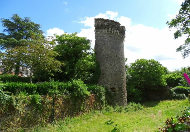 Balade entre chemin et route à La Garnache - La Garnache