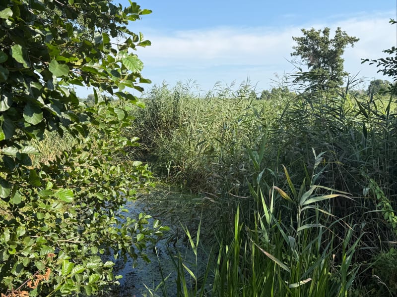 Na spalanie kortyzolu - Rokietnica