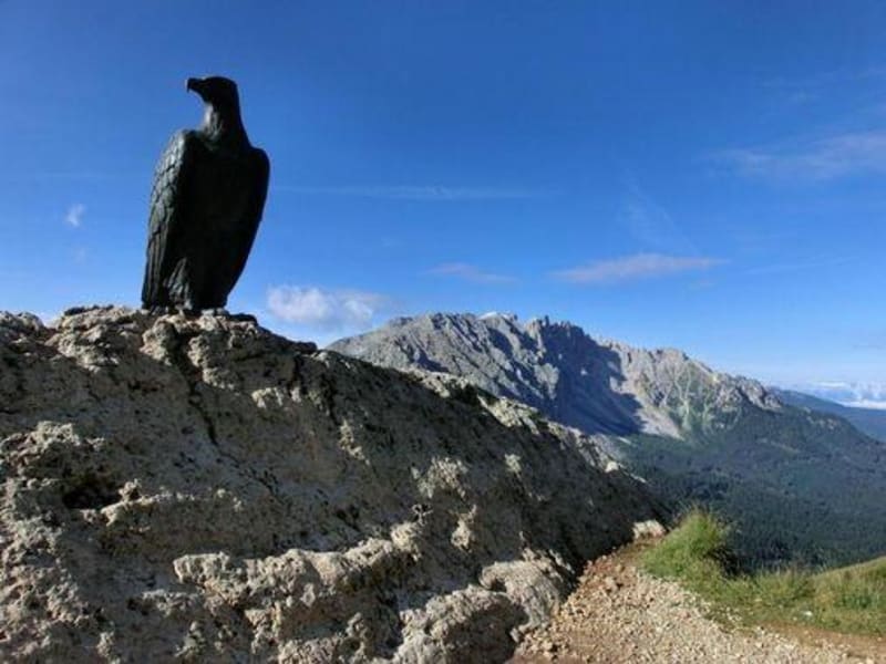 Massif des Dolomites et majesté d'un aigle - Carezza