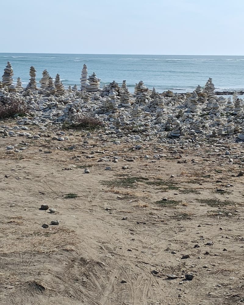 Côte chassironnaise - Saint-Denis-d'Oléron