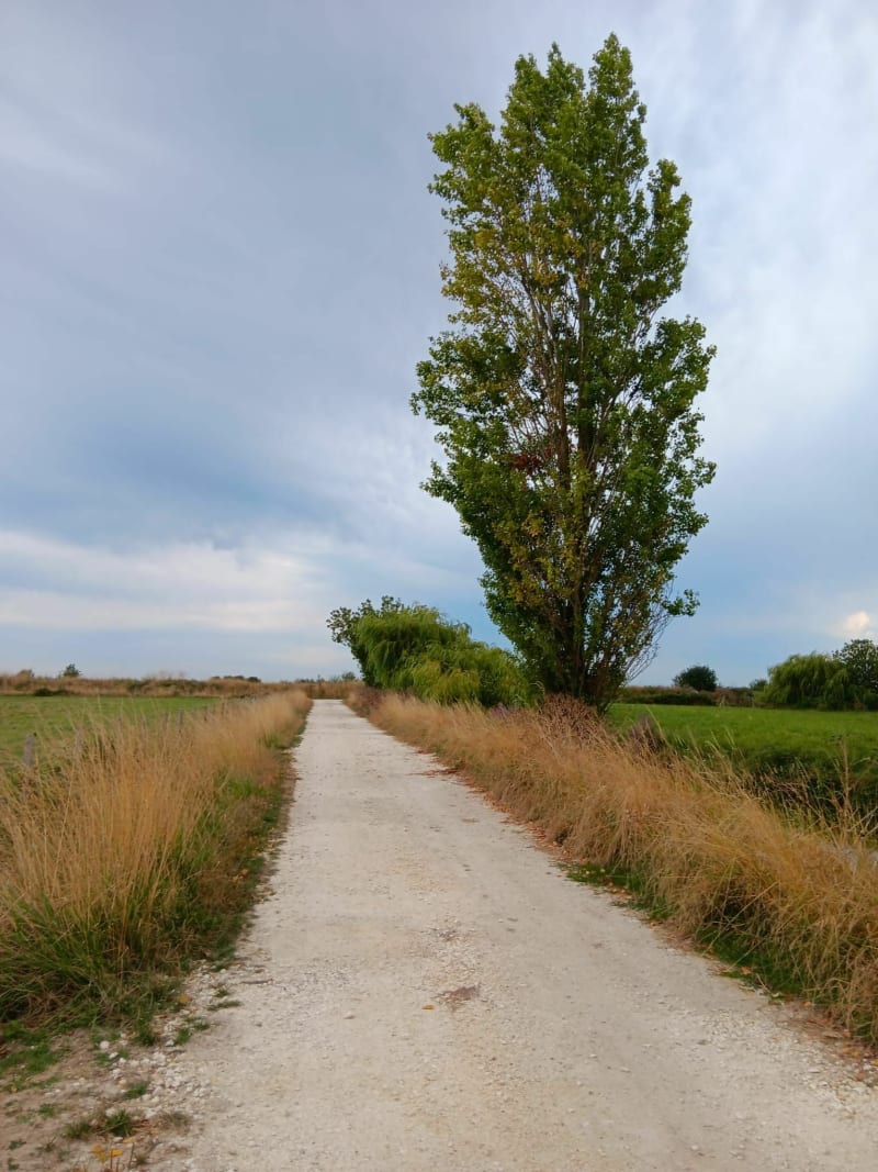Petite marche entre bord de mer et campagne - Mortagne-sur-Gironde