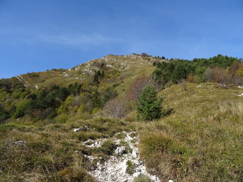 Monte Cuar, le bal des Vautours - Peonis